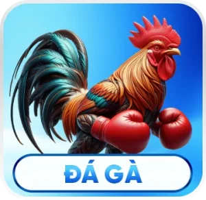 đá gà ad88